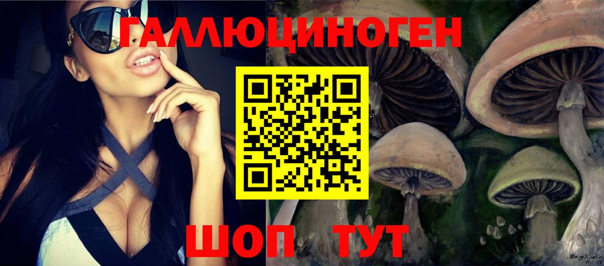 Ирбит  Галлюциногенные грибы мухоморы  даркнет сайт  Вход с VPN 